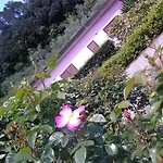 Villino Iso Bed and breakfast La Spezia