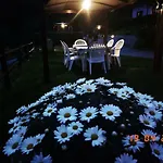 Villino Iso Bed & Breakfast La Spezia