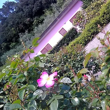 Bed & Breakfast Villino Iso La Spezia