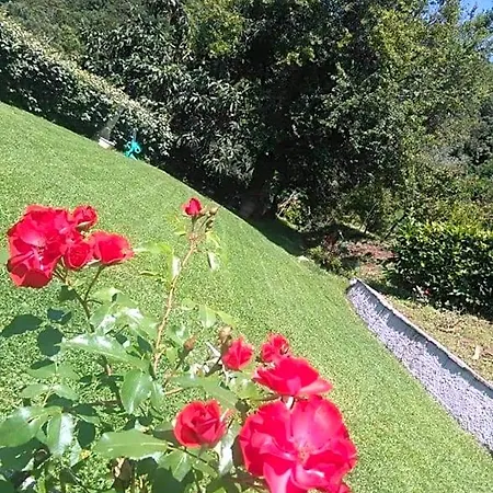 Villino Iso Bed & Breakfast La Spezia