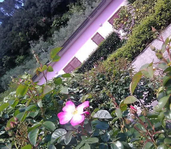 Villino Iso فندق مبيت وإفطار لا سبيتسْيا