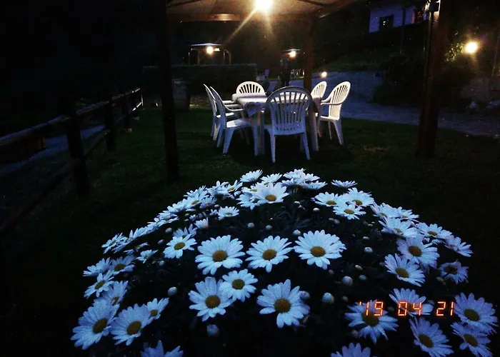 Villino Iso Bed & Breakfast La Spezia